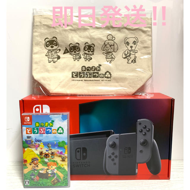 ニンテンドースイッチ グレー あつまれ どうぶつの森 ソフト セット