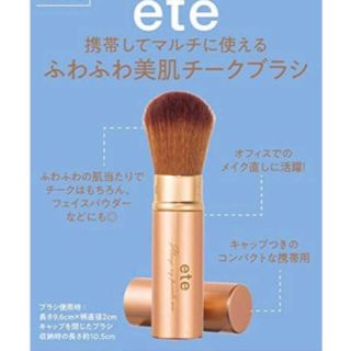 エテ(ete)のMORE 4月号　ふわふわ美肌チークブラシ(チーク/フェイスブラシ)