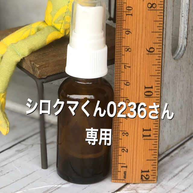 シロクマくん0236さん　専用 コスメ/美容のメイク道具/ケアグッズ(ボトル・ケース・携帯小物)の商品写真