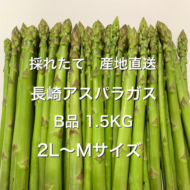 長崎産アスパラガス　B品 1.5KG 食品/飲料/酒の食品(野菜)の商品写真