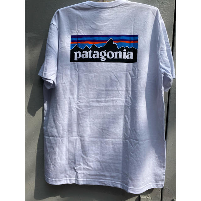 patagonia(パタゴニア)のパタゴニア　　ポケット半袖 メンズのトップス(Tシャツ/カットソー(半袖/袖なし))の商品写真