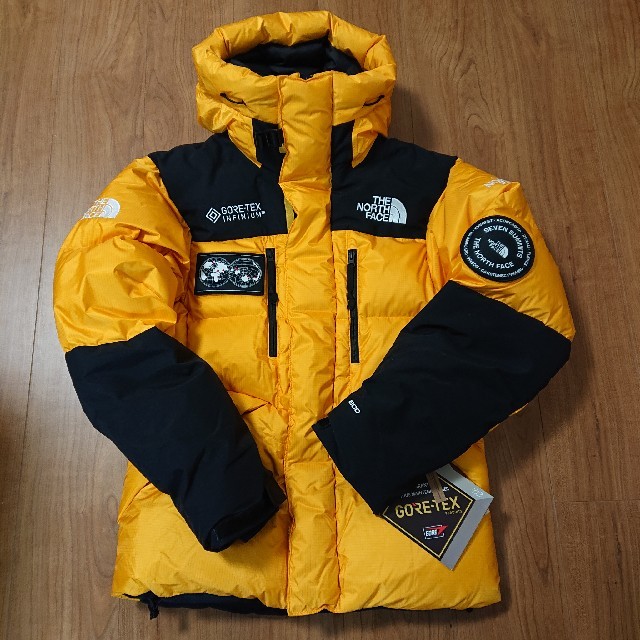 THE NORTH FACE 7SE HIMALAYAN PARKA GTX