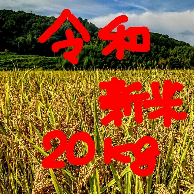 水稲うるち玄米生産年令和元年産新米 低農薬玄米20キロ 山田錦の里より農家直送。。