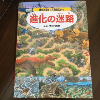 進化の迷路 原始の海から人類誕生まで(絵本/児童書)