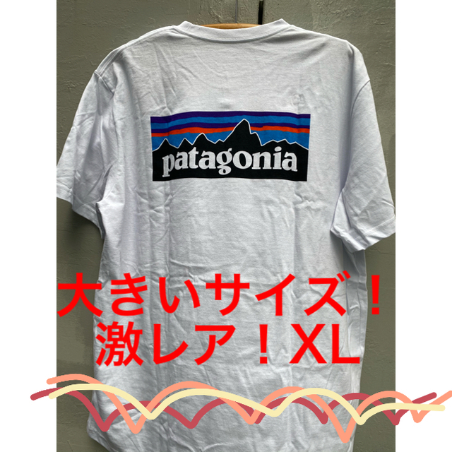 patagonia(パタゴニア)の値下げ！パタゴニア　ポケット半袖　ビックサイズ メンズのトップス(Tシャツ/カットソー(半袖/袖なし))の商品写真