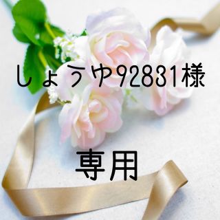 しょうゆ92831様専用  お米　令和元年　愛媛県産コシヒカリ　白米　10㎏(米/穀物)