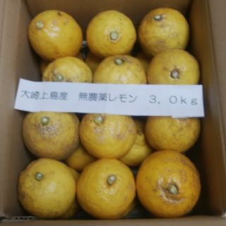 広島県大崎上島産無農薬レモン3.0kg(フルーツ)