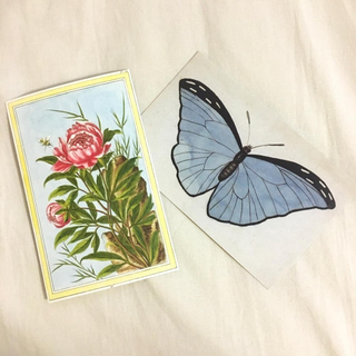 アッシュペーフランス(H.P.FRANCE)のJohn Derian ジョンデリアンポストカード 2枚セット 芍薬 水色の蝶(使用済み切手/官製はがき)