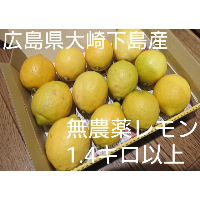 無農薬！広島県大崎下島産 特別栽培 レモン1.4キロ 食品/飲料/酒の食品(フルーツ)の商品写真
