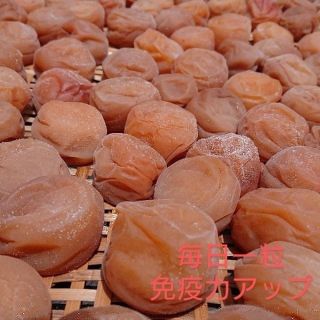 梅干し白(南高梅)500g(漬物)