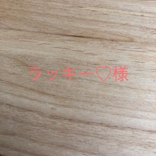 ラッキー♡様　ハンドメイド　立体インナーマスク　白リボン(その他)