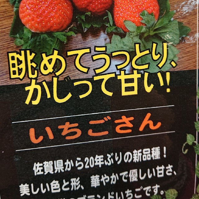 (今だけ)佐賀のいちごさん、超小粒秀品750g(全込み) 食品/飲料/酒の食品(フルーツ)の商品写真