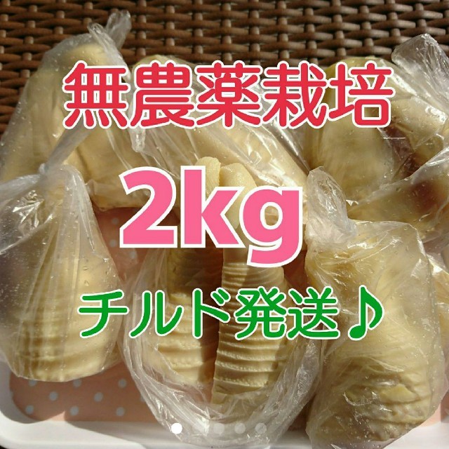 特価【チルド発送♪】
《無農薬栽培》
和歌山県産 孟宗たけの子 水煮 2kg
 食品/飲料/酒の食品(野菜)の商品写真