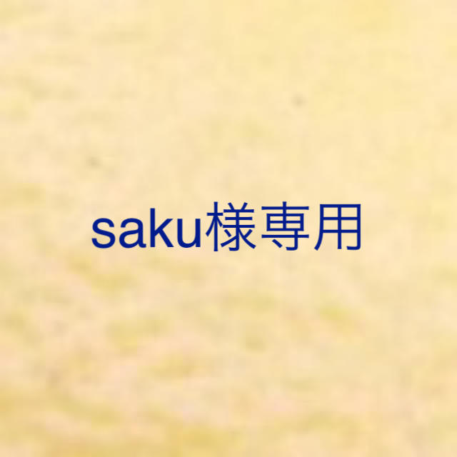 saku様専用 食品/飲料/酒の食品(フルーツ)の商品写真