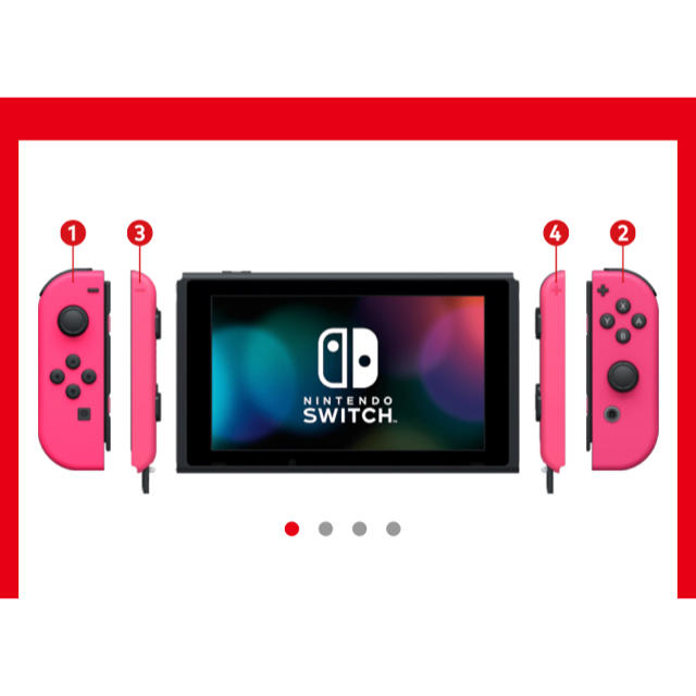 Nintendo Switch - ぴお