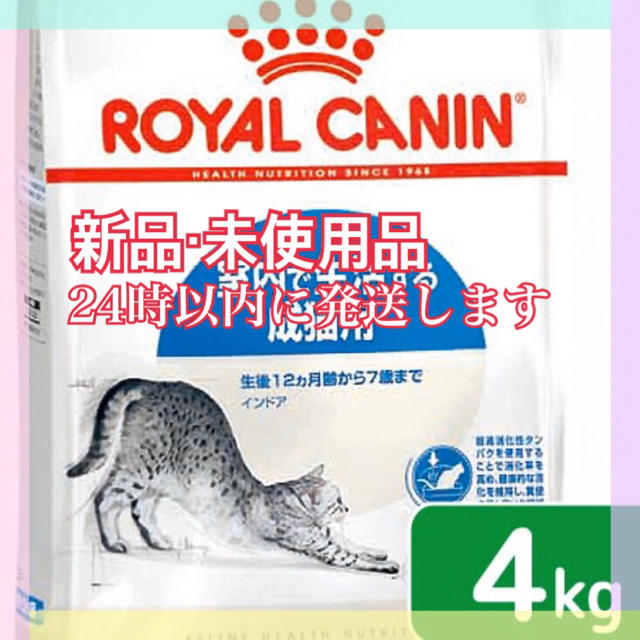 ロイヤルカナン　FHN   インドア　猫用　4kg  キャットフード