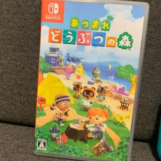 ニンテンドースイッチ(Nintendo Switch)のあんり様専用(家庭用ゲームソフト)