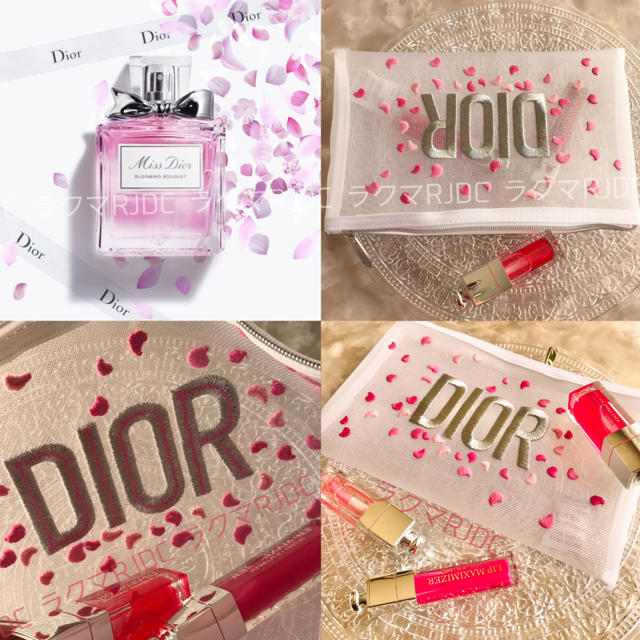 Dior(ディオール)の【新品未使用】ディオール 限定非売品 シースルー ホワイト ポーチ コスメポーチ レディースのファッション小物(ポーチ)の商品写真