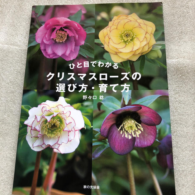 ひと目でわかるクリスマスロ－ズの選び方・育て方 エンタメ/ホビーの本(趣味/スポーツ/実用)の商品写真