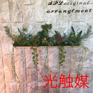 光触媒 人工観葉植物 ウォールグリーン533311(壁掛けミラー)
