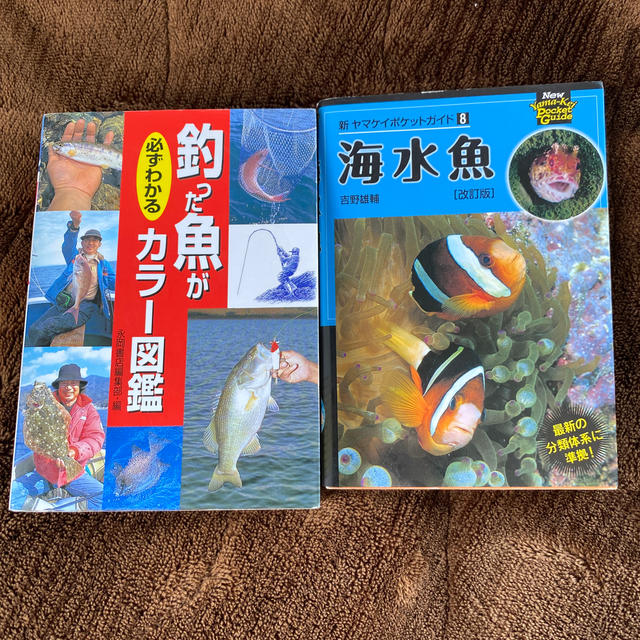 魚図鑑     エンタメ/ホビーの本(趣味/スポーツ/実用)の商品写真
