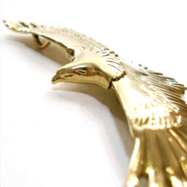 イーグル フェザー小 羽根 鷹 ペンダント ネックレス 金 ゴールド メンズのアクセサリー(その他)の商品写真