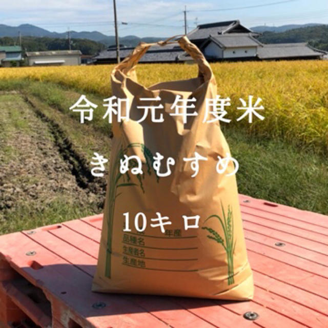 sundaylove様専用　令和元年度米　きぬむすめ　10キロ 食品/飲料/酒の食品(米/穀物)の商品写真