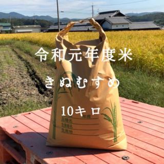 oya様専用　令和元年度米　きぬむすめ　10キロ(米/穀物)