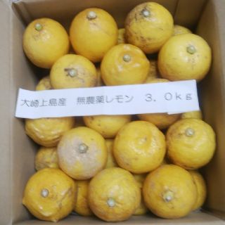 広島県大崎上島産無農薬レモン3.0kg(フルーツ)