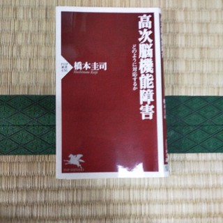 高次脳機能障害 どのように対応するか(文学/小説)