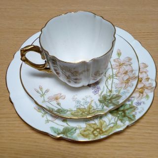 エインズレイ(Aynsley China)のエインズレイ　アンティーク　トリオ(食器)