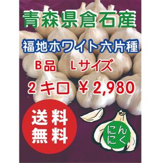 【B品】青森県倉石産にんにく福地ホワイト六片種2キロ(野菜)