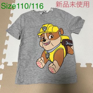 エイチアンドエム(H&M)のパウパトロール  ラブル　Tシャツ(Tシャツ/カットソー)