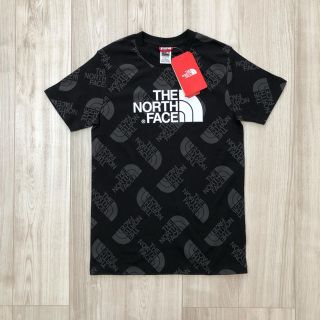 再入荷【日本未入荷】TNF ザ　ノースフェイス　総柄プリント　Tシャツ　170