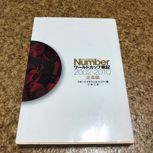 ワ－ルドカップ戦記 波涛編（２００２－２０１０） エンタメ/ホビーの本(趣味/スポーツ/実用)の商品写真