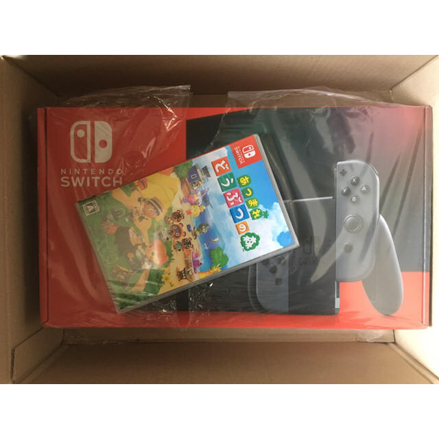 Nintendo Switch - 新型 Nintendo Switch グレー どうぶつの森セット