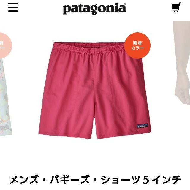 patagonia(パタゴニア)のpatagonia バギーズショーツ メンズのパンツ(ショートパンツ)の商品写真