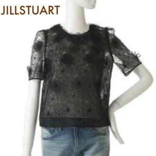 ジルスチュアート(JILLSTUART)のジルスチュアート 完売 ルシアブラウス(シャツ/ブラウス(半袖/袖なし))