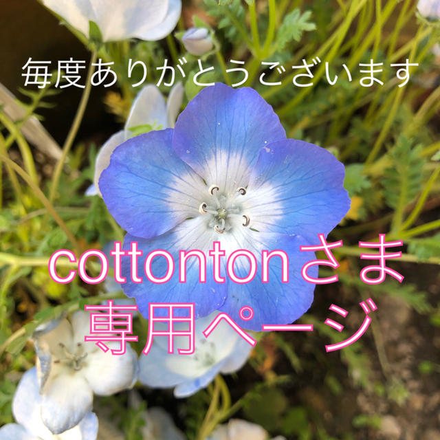 MAQuillAGE(マキアージュ)のcottontonさま専用 コスメ/美容のベースメイク/化粧品(パウダーアイブロウ)の商品写真