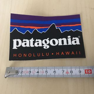 パタゴニア(patagonia)のpatagonia surf ステッカー(サーフィン)