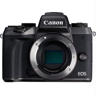 キヤノン(Canon)のCanon EOS M5 ボディ(ミラーレス一眼)