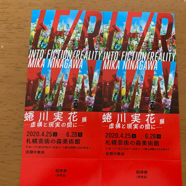 蜷川実花展―虚構と現実の間に― 札幌　招待券 チケットの施設利用券(美術館/博物館)の商品写真