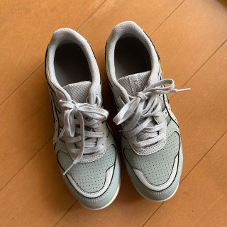 アシックス(asics)のasics winjob cp207 23.0(その他)