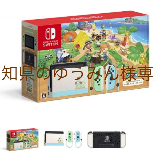 ゆうみん様 専用 スイッチゲーム 玄関先迄納品 34138円 previntec.com