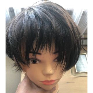 ナバーナウィッグ(NAVANA WIG)の定価28000円★ナバーナ 高品質ウィッグ(ショートカール)