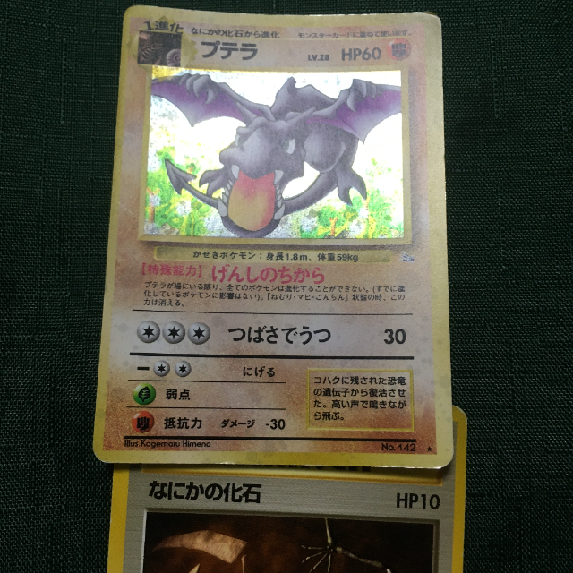 ポケモン ポケモンカード 旧裏面 プテラ 化石系 9枚セットの通販 By すなぎも S Shop ポケモンならラクマ