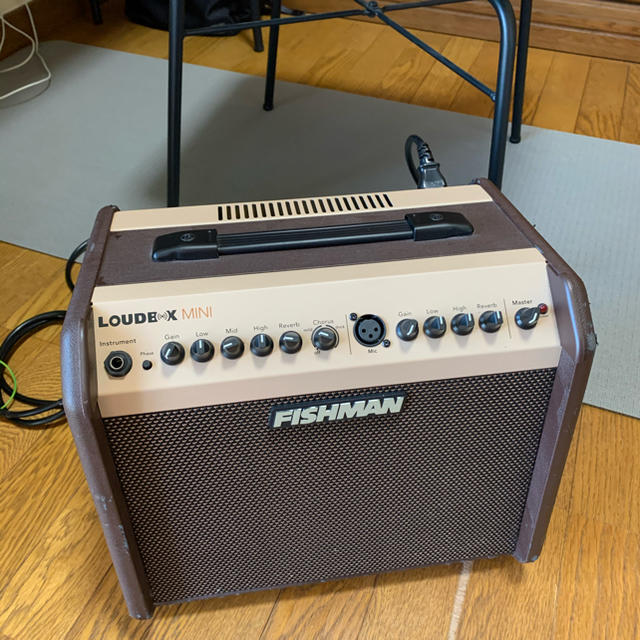 Fishman LOUDBOX miniギター