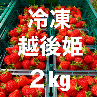 【完熟いちご使用】冷凍いちご 越後姫　2kg(野菜)