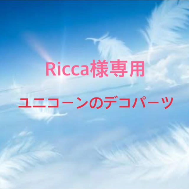 Ricca様 専用ページの通販 by chan's shop｜ラクマ