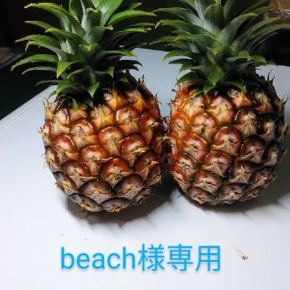 beach様専用ページです。(フルーツ)